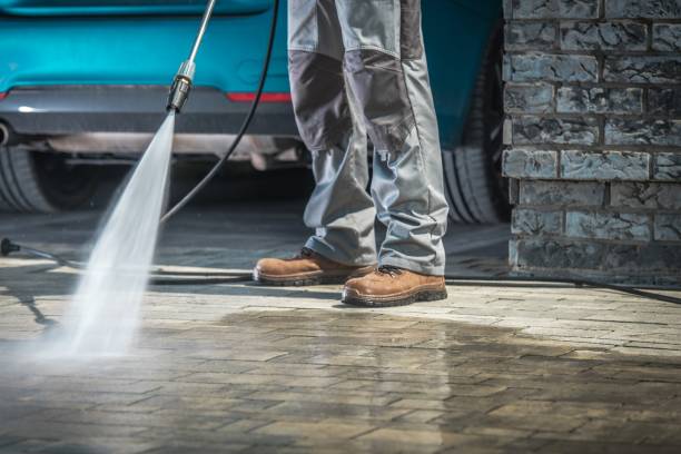 Best Driveway Pressure Washing  in Port Richey, FL