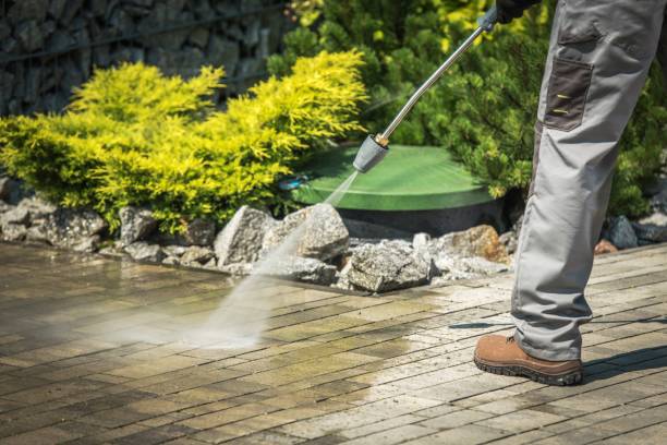 Best Fence Cleaning  in Port Richey, FL