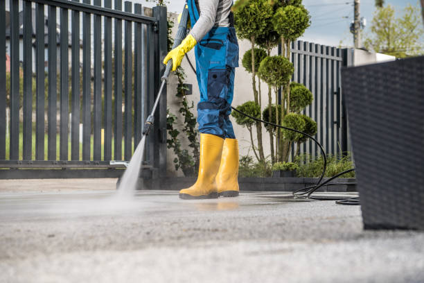 Best Solar Panel Cleaning  in Port Richey, FL