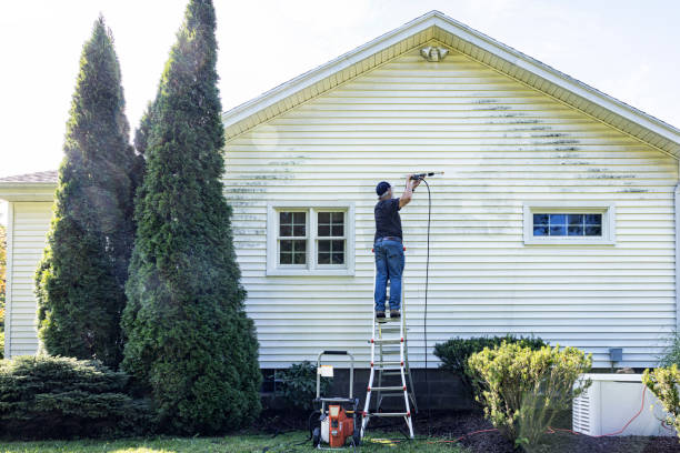 Best Sidewalk and Walkway Cleaning  in Port Richey, FL